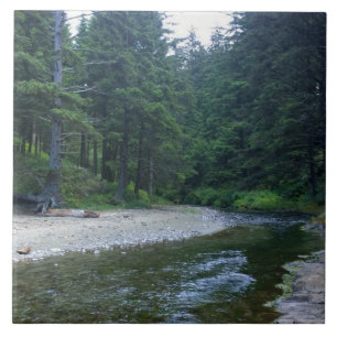 Cummins Creek im Neptune Staat Park, OR Fliese