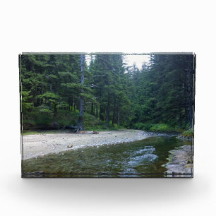 Cummins Creek im Neptune Staat Park, OR Fotoblock