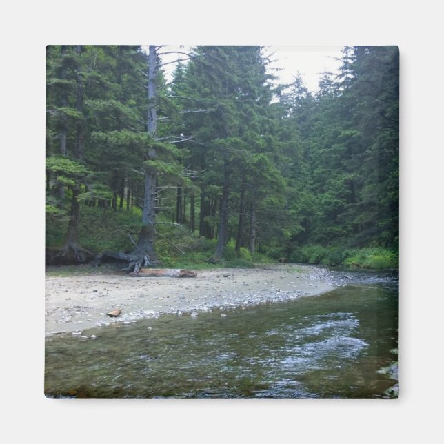 Cummins Creek im Neptune Staat Park, OR Magnet (Vorne)