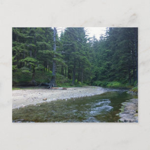 Cummins Creek im Neptune Staat Park, OR Postkarte