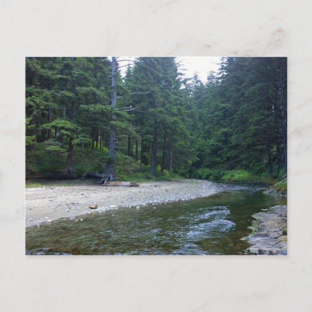 Cummins Creek im Neptune Staat Park, OR Postkarte (Vorderseite)