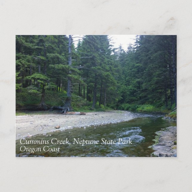 Cummins Creek im Neptune Staat Park, OR Postkarte (Vorderseite)