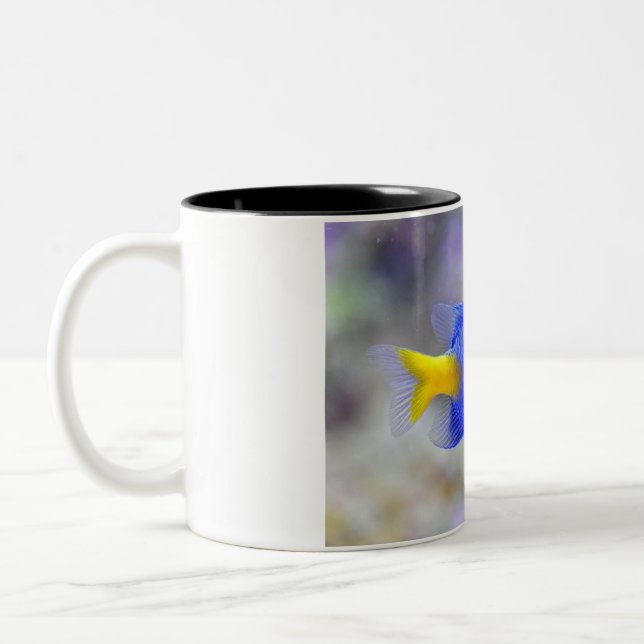 Cup mit Lucky Fish Zweifarbige Tasse (Links)