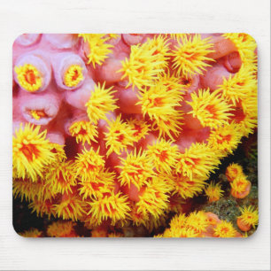 cupcoral mousepad