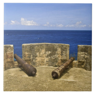 Curacao. Fort Beekenburg Caracas Bay. Fliese