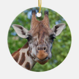 Curios Giraffe Keramikornament