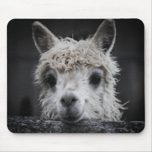 Curious Alpaca Mouse Pad Mousepad