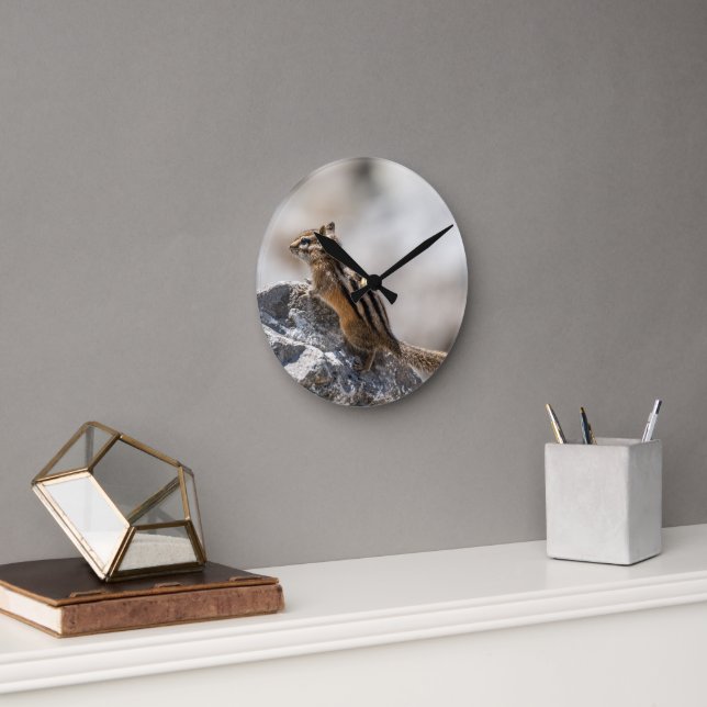 Curious Brown Chipmunk in Alberta Runde Wanduhr (Büro)