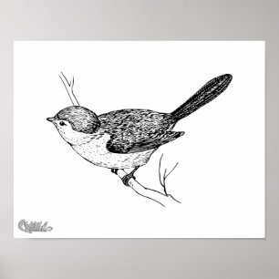 Curious Bushtit Bird Sketch Poster