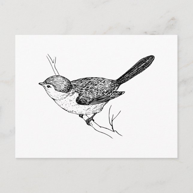 Curious Bushtit Bird Sketch Postkarte (Vorderseite)