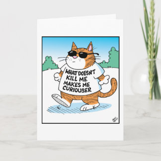 Curious Cat  Karte