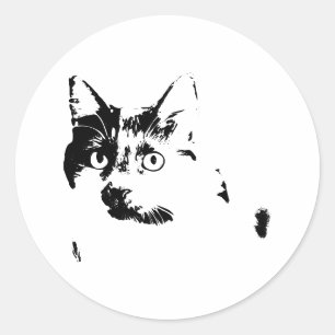 Curious Cat Vinyl Sticker