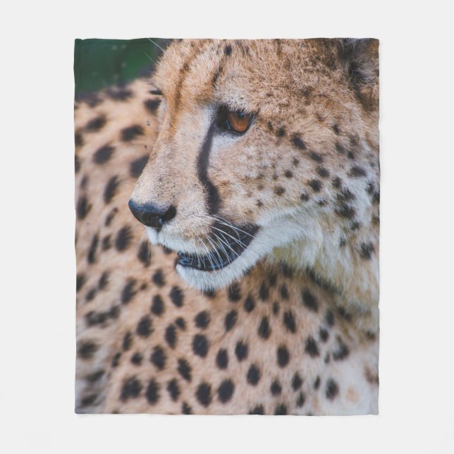 CURIOUS CHEETAH FLEECEDECKE (Vorderseite)