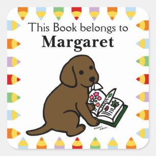 Curious Chocolate Labrador Puppy Quadratischer Aufkleber