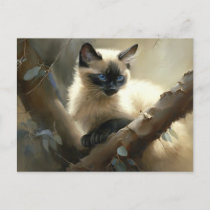 Curious Climber Siamese Kitten Postkarte