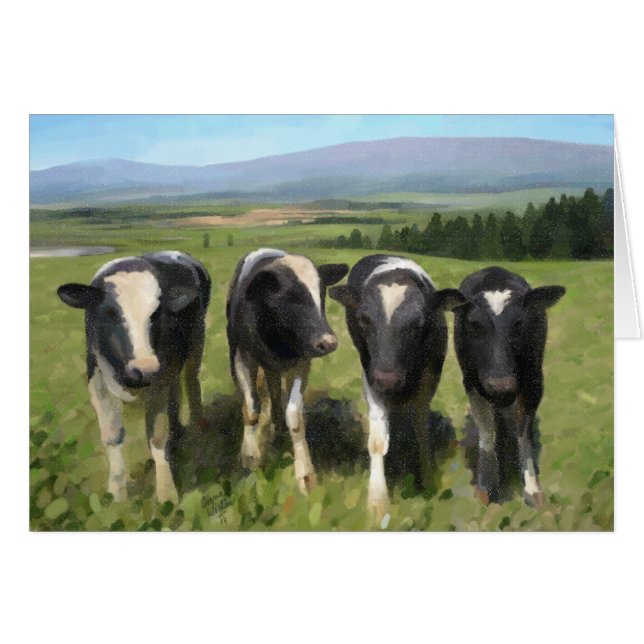 Curious cows (Vorderseite (Horizontal))