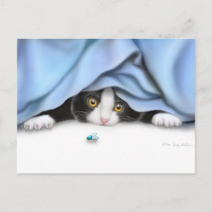 Curious Kitten Postcard Postkarte