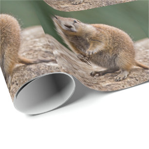 Curious Prairie Dog Wrapping Paper Geschenkpapier