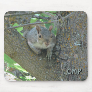 Curious Squirrel in Tree with Your Initials Mousepad