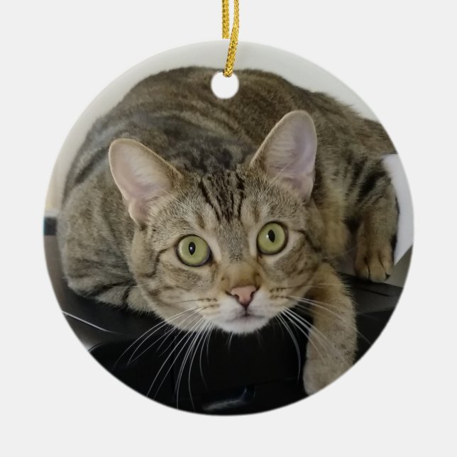 Curious Tabby Cat Ornament (Vorne)