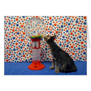 Curiousity - Kori die Hauptrolle spielend die