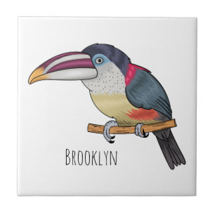 Curl crested aracari bird cartoon illustration fliese