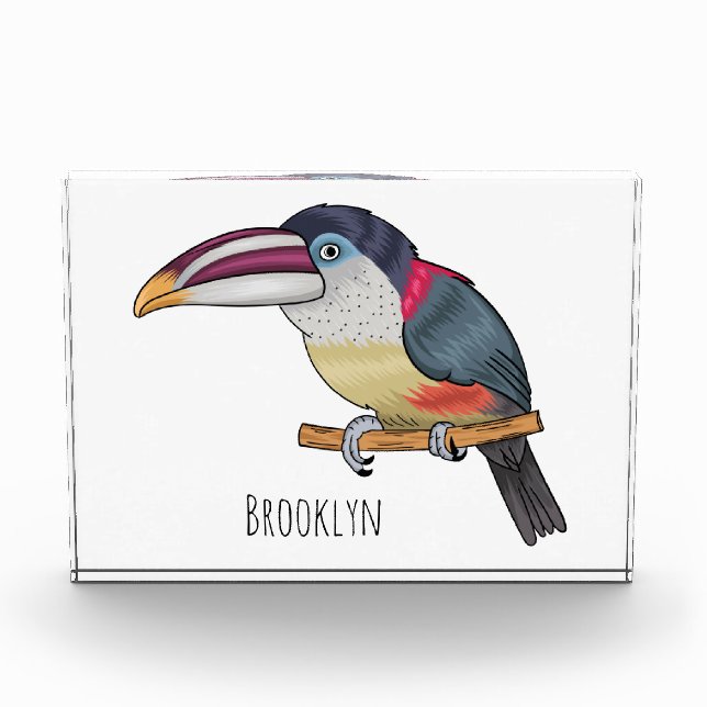 Curl crested aracari bird cartoon illustration fotoblock (Vorderseite)