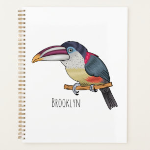 Curl crested aracari bird cartoon illustration planer