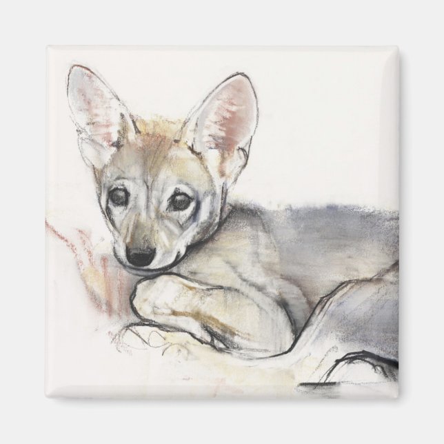 Curled Arabian Wolf Pup 2009 Magnet (Vorne)