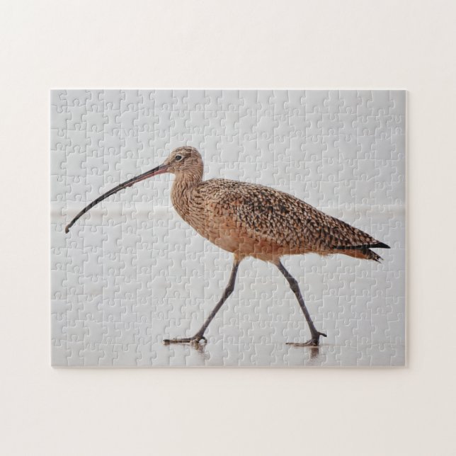 Curlew Bird Beach Walk Nature Puzzle (Horizontal)