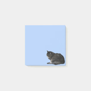 Curling Up Tabby Cat Foto Cutout Blue Post-it Klebezettel