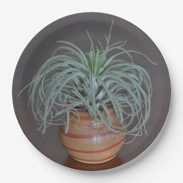 Curly Air Pflanze Pappteller (Vorderseite)