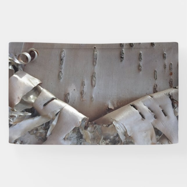 Curly Birch Bark Tree Rustic Banner (Horizontal)