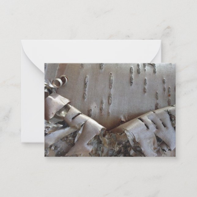Curly Birch Bark Tree Rustic Flat Note Card Mitteilungskarte (Vorderseite)