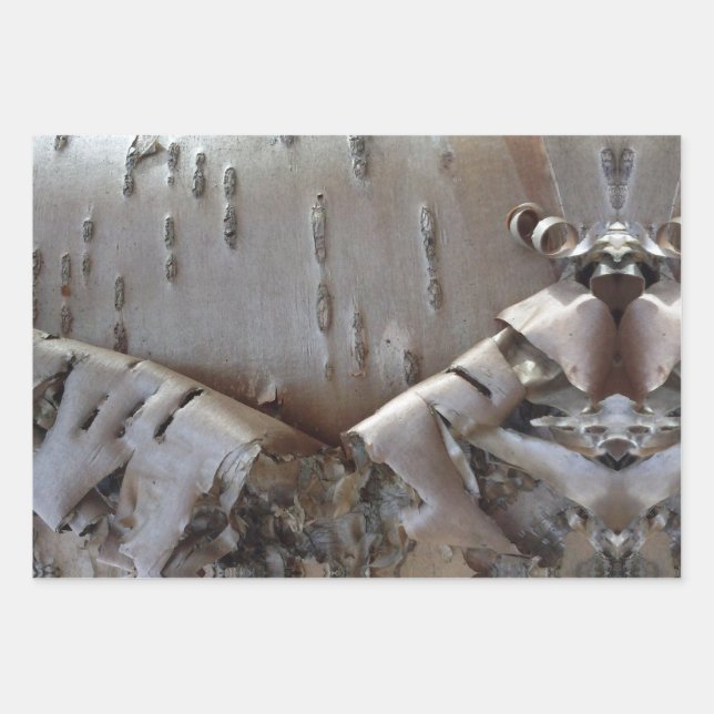 Curly Birch Bark Tree Rustic Geschenkpapier Set (Vorderseite)