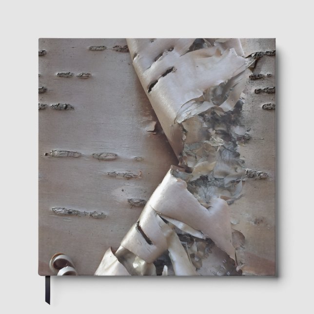 Curly Birch Bark Tree Rustic Guest Book Gästebuch (Vorderseite)