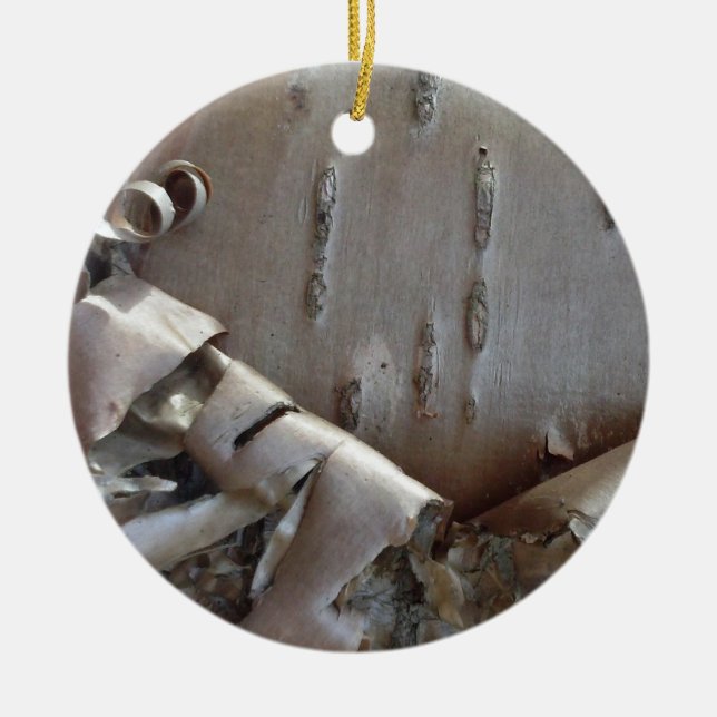Curly Birch Bark Tree Rustic Ornament (Vorne)