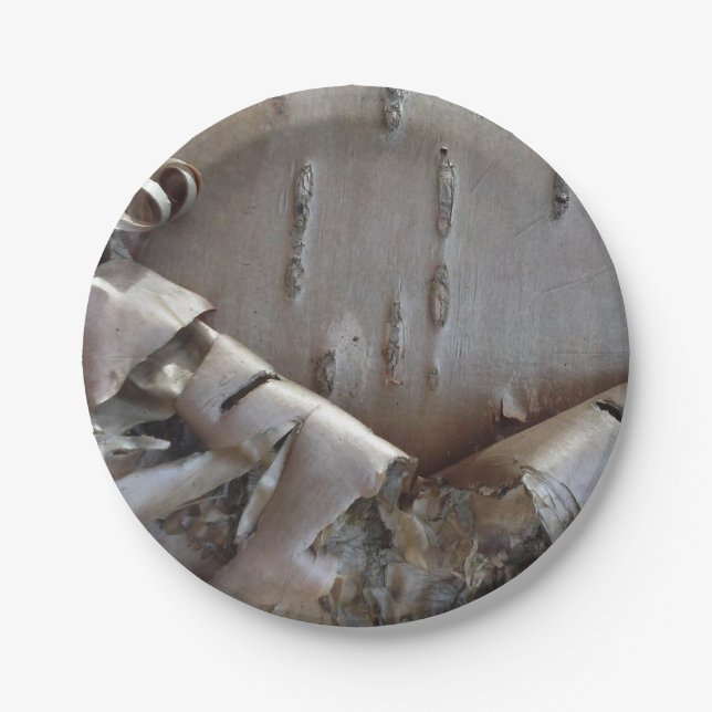 Curly Birch Bark Tree Rustic Pappteller (Vorderseite)