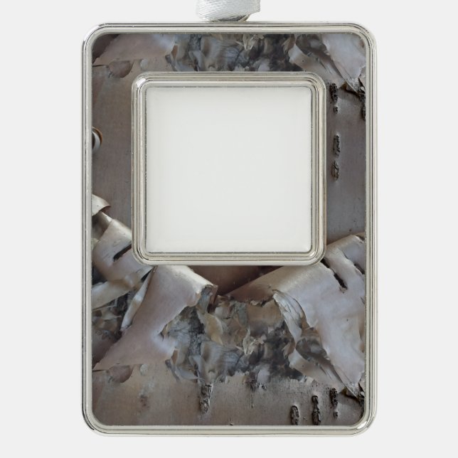 Curly Birch Bark Tree Rustic Rahmen-Ornament Silber (Vorderseite)