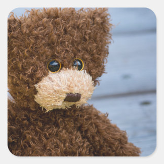 Curly Brown Teddy Bear Quadratischer Aufkleber