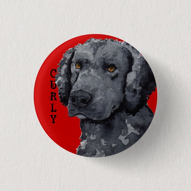 Curly Coated Retriever Color Block Button (Vorderseite)
