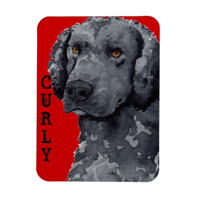 Curly Coated Retriever Color Block Magnet (Vertikal)
