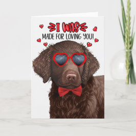 Curly Coated Retriever Dog Made for Liebe Valentin Feiertagskarte