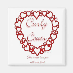 Curly Coated Retriever True Love Magnet