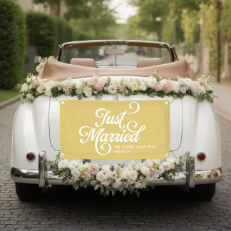 Curly Just Married Car Banner