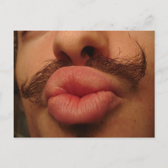 Curly Mustache Smooches Postcard Postkarte (Vorderseite)