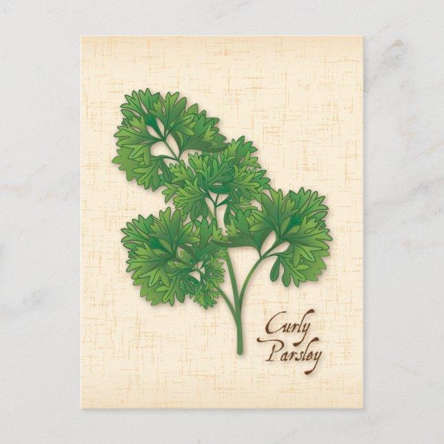 Curly Parsley Herb Postcard anpassen Postkarte (Vorderseite)