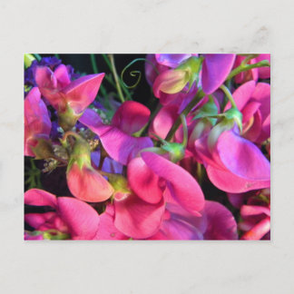 Curly Que Postkarte