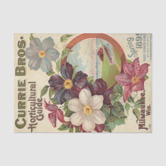 Currie Bros Garticultural Guide, 1899 Vintag Seidenpapier (Vorderseite)