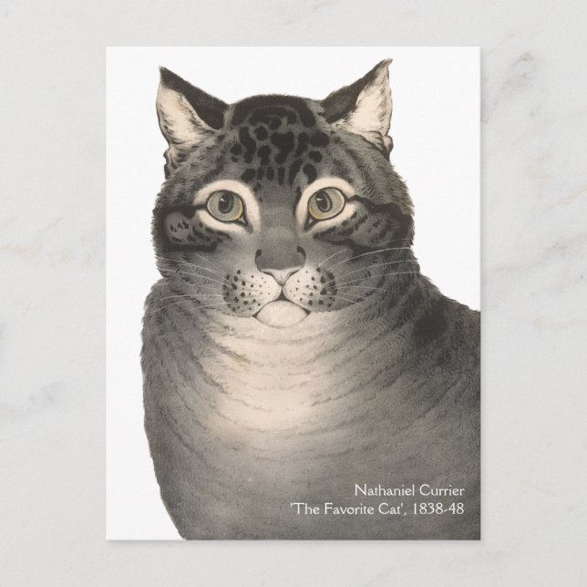 Currier & Ives Cat Niedliche Viktorianische Kunst Postkarte (Vorderseite)